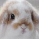 Profile picture of ShyGirl98